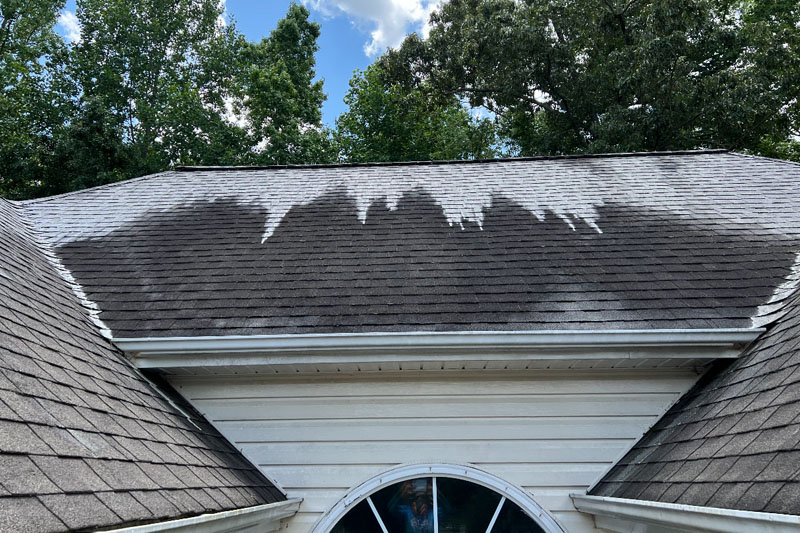 How Roof Cleaning Can Increase Your Home's Value
